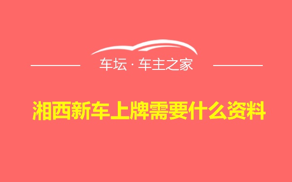 湘西新车上牌需要什么资料