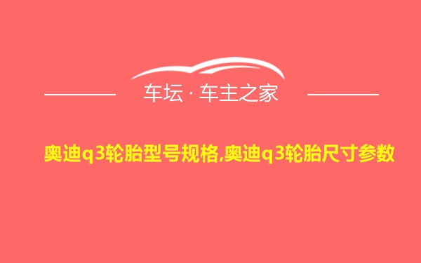 奥迪q3轮胎型号规格,奥迪q3轮胎尺寸参数