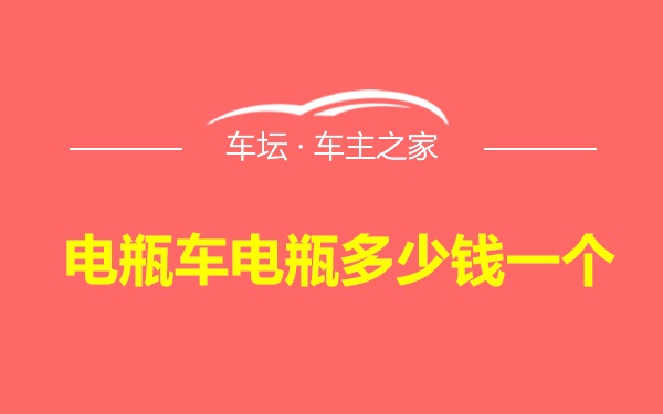 电瓶车电瓶多少钱一个