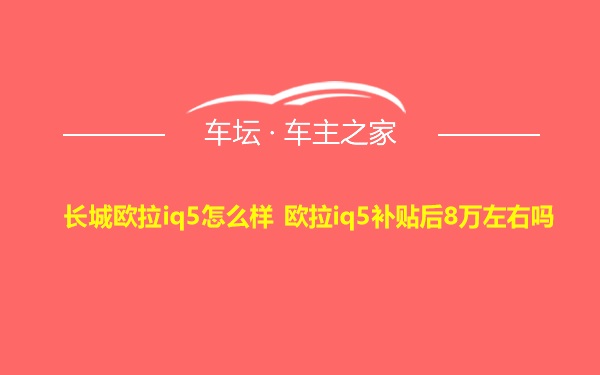 长城欧拉iq5怎么样 欧拉iq5补贴后8万左右吗