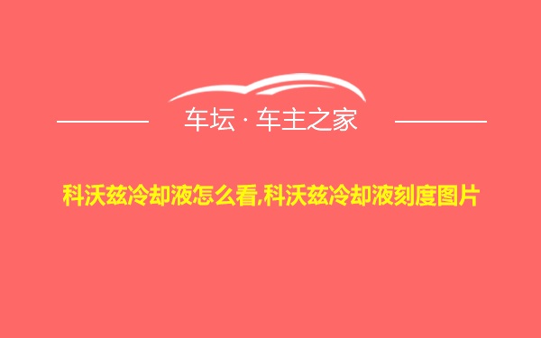 科沃兹冷却液怎么看,科沃兹冷却液刻度图片