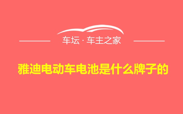 雅迪电动车电池是什么牌子的