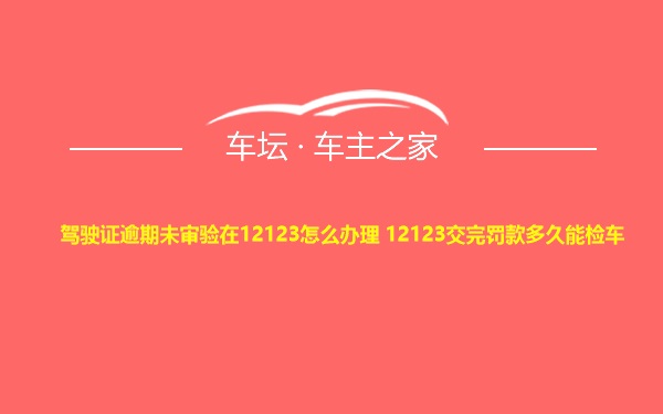 驾驶证逾期未审验在12123怎么办理 12123交完罚款多久能检车