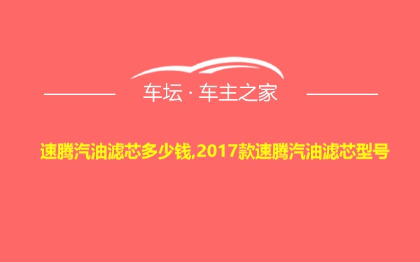 速腾汽油滤芯多少钱,2017款速腾汽油滤芯型号