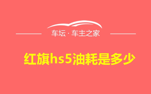 红旗hs5油耗是多少