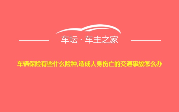 车辆保险有些什么险种,造成人身伤亡的交通事故怎么办