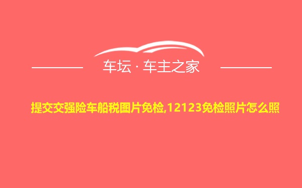 提交交强险车船税图片免检,12123免检照片怎么照