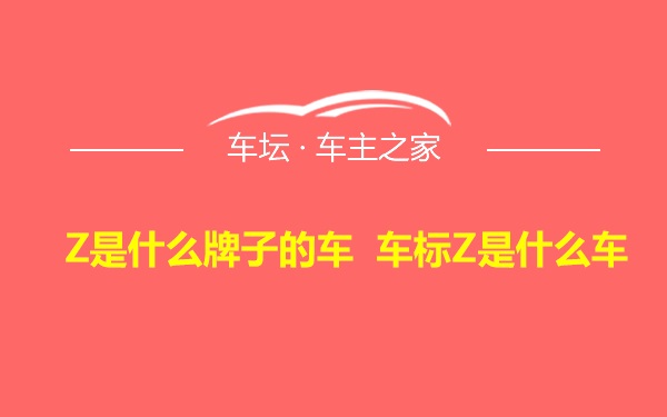 Z是什么牌子的车 车标Z是什么车