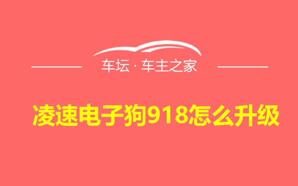 凌速电子狗918怎么升级