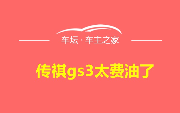 传祺gs3太费油了