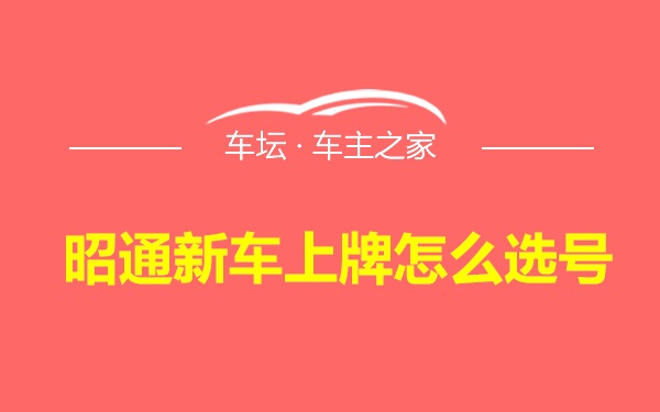 昭通新车上牌怎么选号