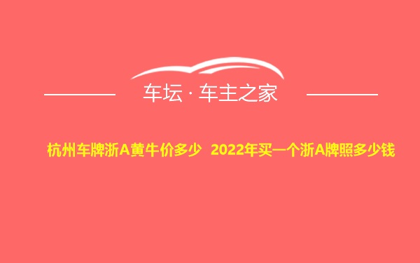 杭州车牌浙A黄牛价多少 2022年买一个浙A牌照多少钱