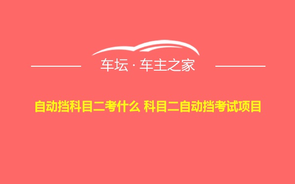 自动挡科目二考什么 科目二自动挡考试项目