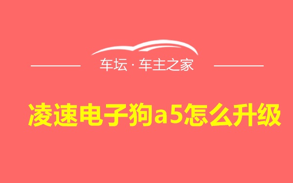 凌速电子狗a5怎么升级