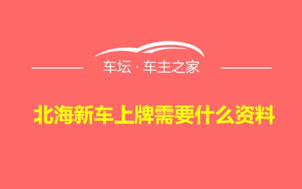 北海新车上牌需要什么资料