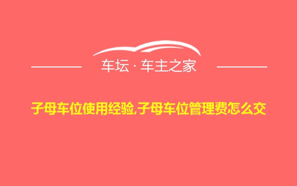 子母车位使用经验,子母车位管理费怎么交