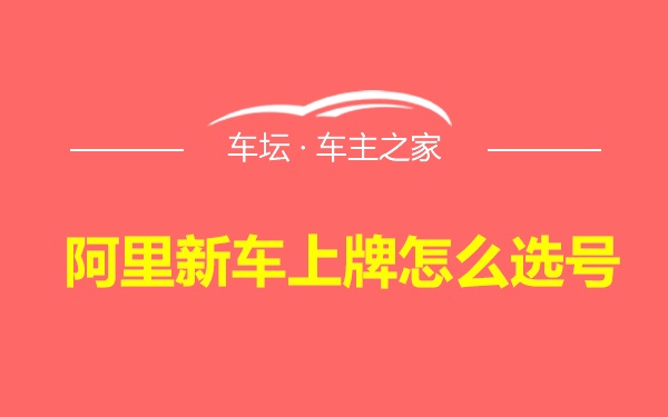 阿里新车上牌怎么选号