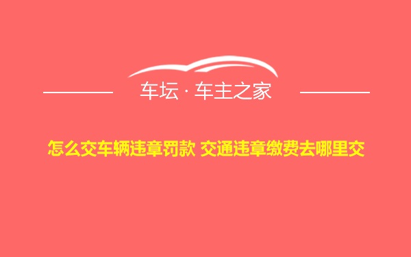 怎么交车辆违章罚款 交通违章缴费去哪里交