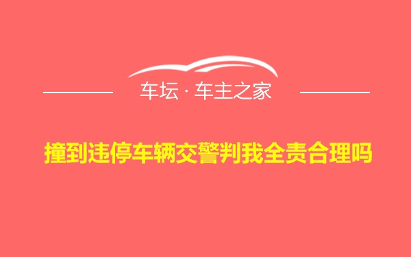 撞到违停车辆交警判我全责合理吗