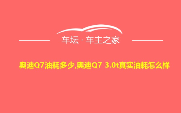 奥迪Q7油耗多少,奥迪Q7 3.0t真实油耗怎么样