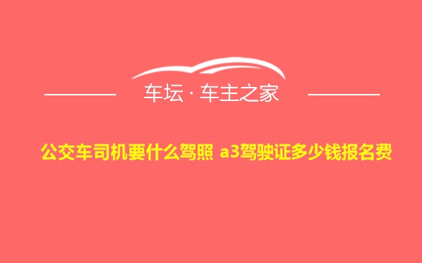 公交车司机要什么驾照 a3驾驶证多少钱报名费