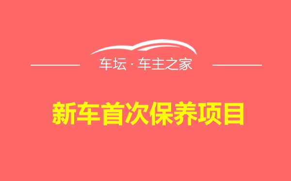 新车首次保养项目