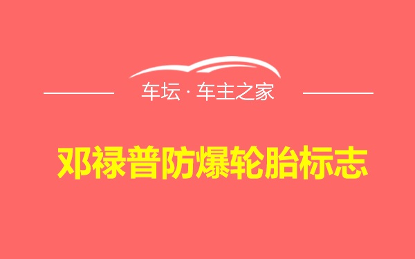 邓禄普防爆轮胎标志