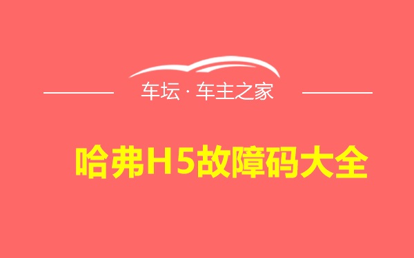 哈弗H5故障码大全