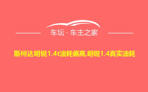 斯柯达明锐1.4t油耗偏高,明锐1.4真实油耗