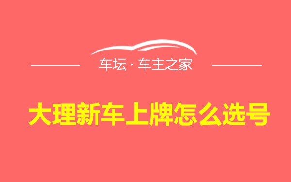 大理新车上牌怎么选号