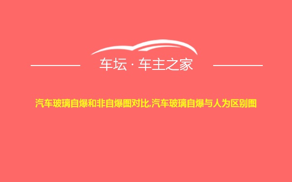 汽车玻璃自爆和非自爆图对比,汽车玻璃自爆与人为区别图