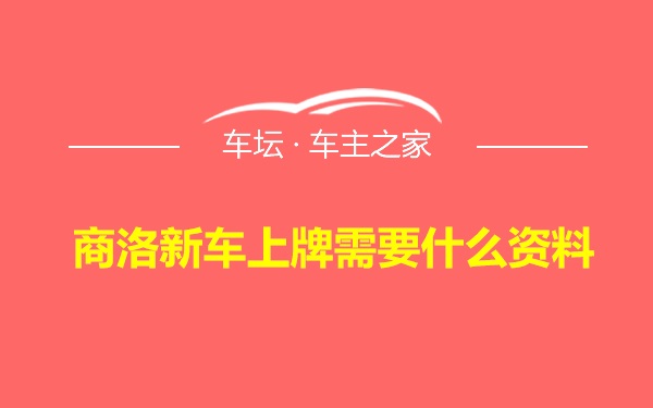 商洛新车上牌需要什么资料