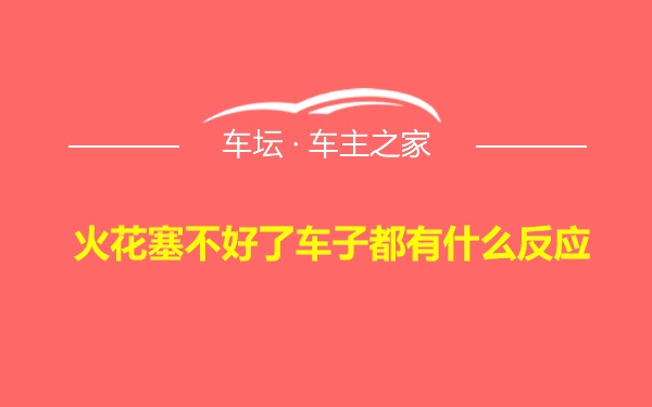 火花塞不好了车子都有什么反应