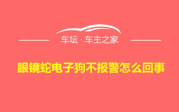 眼镜蛇电子狗不报警怎么回事