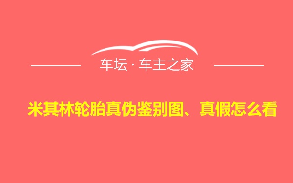 米其林轮胎真伪鉴别图、真假怎么看