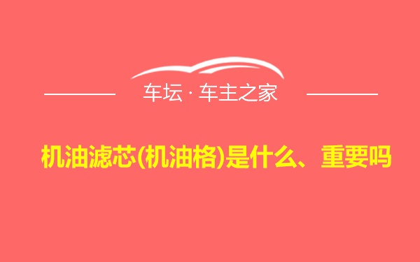 机油滤芯(机油格)是什么、重要吗