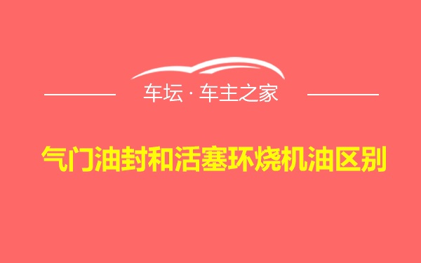 气门油封和活塞环烧机油区别