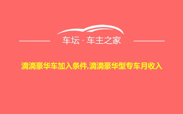 滴滴豪华车加入条件,滴滴豪华型专车月收入