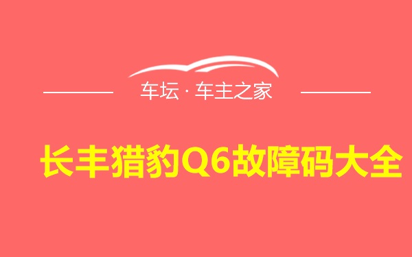 长丰猎豹Q6故障码大全