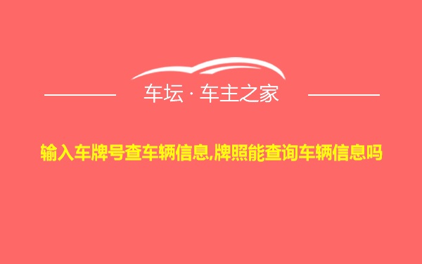 输入车牌号查车辆信息,牌照能查询车辆信息吗