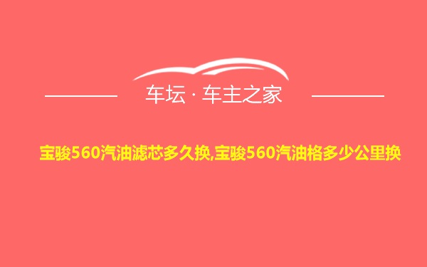 宝骏560汽油滤芯多久换,宝骏560汽油格多少公里换