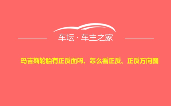 玛吉斯轮胎有正反面吗、怎么看正反、正反方向图