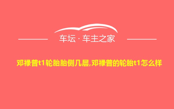 邓禄普t1轮胎胎侧几层,邓禄普的轮胎t1怎么样