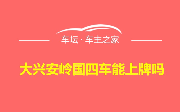 大兴安岭国四车能上牌吗