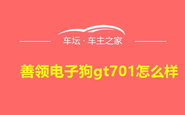 善领电子狗gt701怎么样