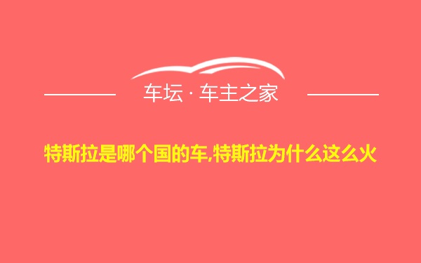 特斯拉是哪个国的车,特斯拉为什么这么火