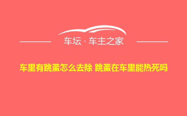 车里有跳蚤怎么去除 跳蚤在车里能热死吗