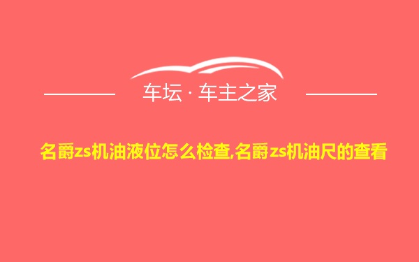 名爵zs机油液位怎么检查,名爵zs机油尺的查看