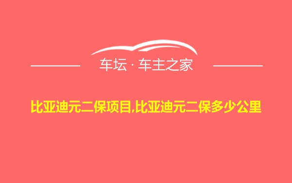 比亚迪元二保项目,比亚迪元二保多少公里