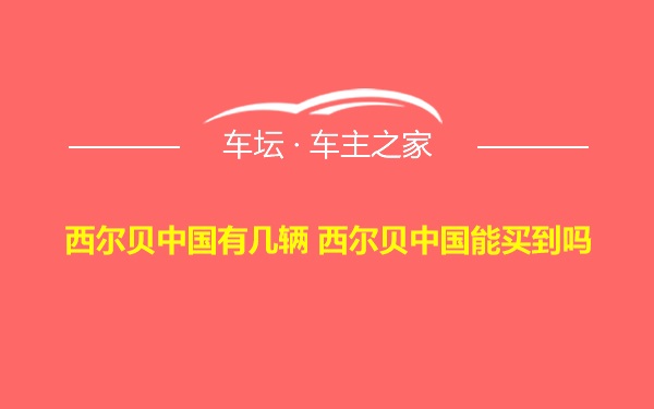 西尔贝中国有几辆 西尔贝中国能买到吗